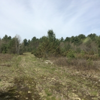 20 acre Lot on The Oswegatchie River Pitcairn NY images 2