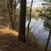 20 acre Lot on The Oswegatchie River Pitcairn NY images 3