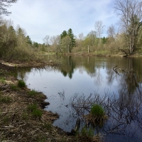20 acre Lot on The Oswegatchie River Pitcairn NY images 6