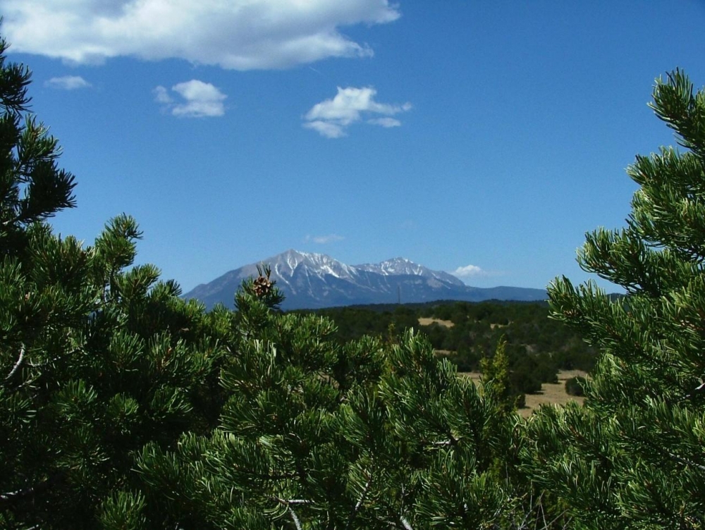 111 Silver Spurs Ranch featured image