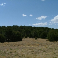 111 Silver Spurs Ranch images 6
