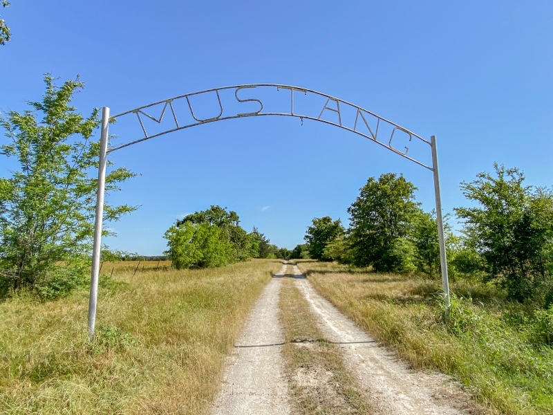 14 Acres Tract 4 Mustang Oaks featured image