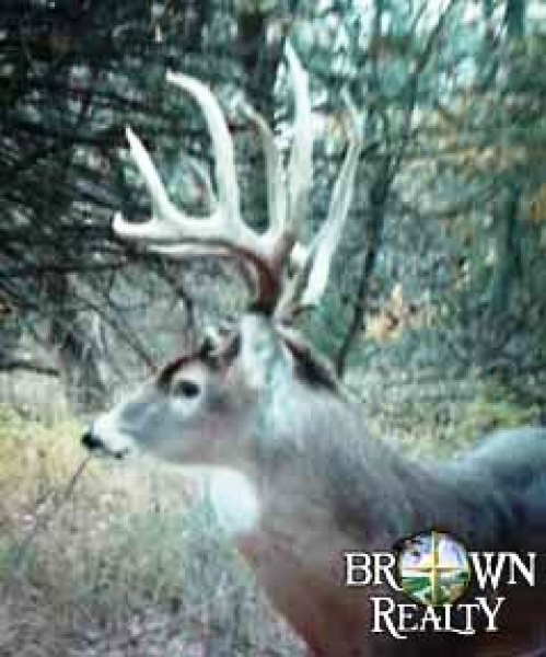 KS - Barber Mulhern-Wroten 340 - featured image