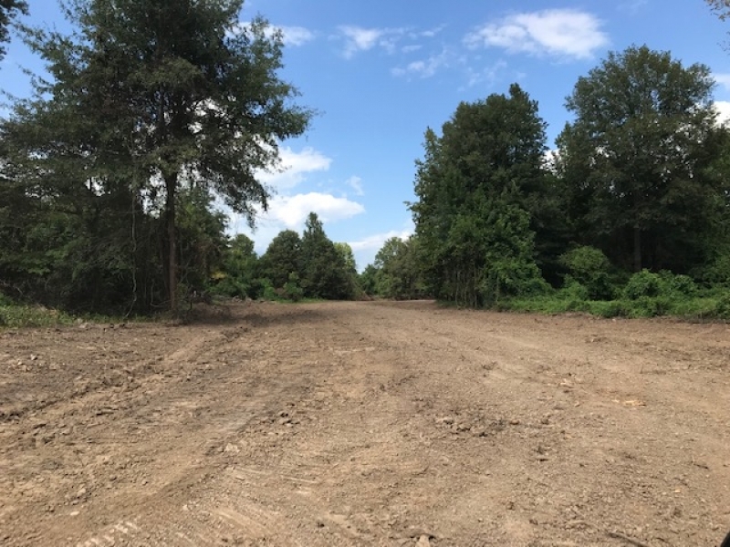 MS - Warren Swamp Donkey Properties 6 shares of 12 - 516 ac share For Sale featured image