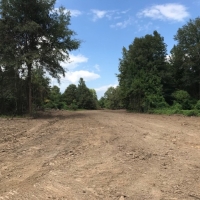 MS - Warren Swamp Donkey Properties 6 shares of 12 - 516 ac share For Sale