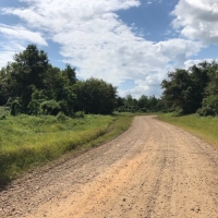MS - Warren Swamp Donkey Properties 6 shares of 12 - 516 ac share For Sale images 3