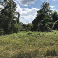 MS - Warren Swamp Donkey Properties 6 shares of 12 - 516 ac share For Sale images 4