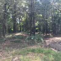 MS - Warren Swamp Donkey Properties 6 shares of 12 - 516 ac share For Sale images 6