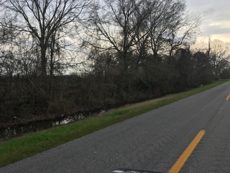 LA - Richland Thomason 91 acres - featured image