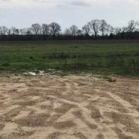 LA - Richland Thomason 91 acres - images 4