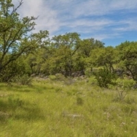 Elm Springs Ranch images 4