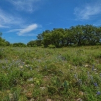 Elm Springs Ranch images 5