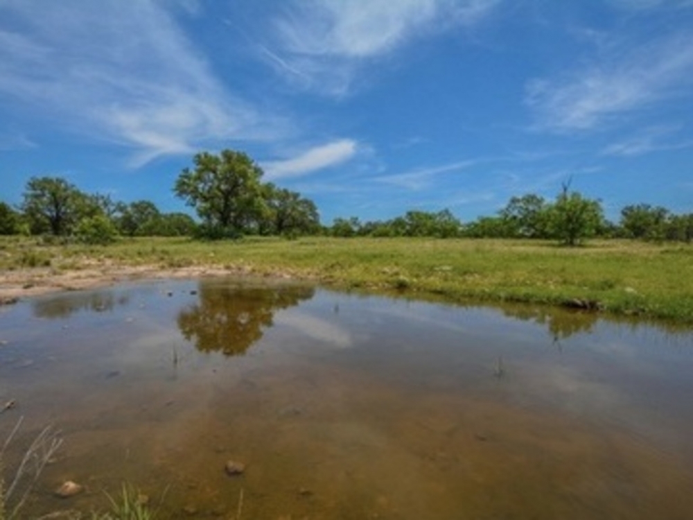 Elm Springs Ranch Hunting Land for Sale