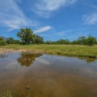 Elm Springs Ranch