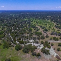 Elm Springs Ranch images 6