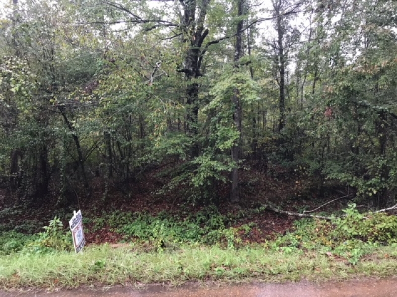 LA - LaSalle Hayes 20 acres - featured image