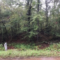 LA - LaSalle Hayes 20 acres -