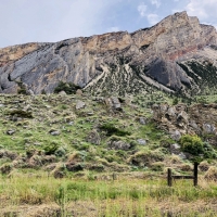 CLARKS FORK CANYON MEADOWS