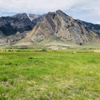 CLARKS FORK CANYON MEADOWS images 5