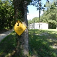 Mathews Creek Plantation images 5