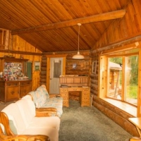 Wilderness Seclusion w Lake Frontage Dock images 4