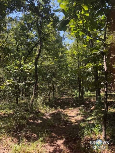 OK - Leflore Hudson 307 acres - featured image