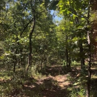 OK - Leflore Hudson 307 acres -