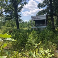 OK - Leflore Hudson 307 acres - images 4