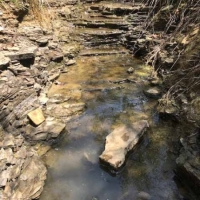 OK - Leflore Hudson 307 acres - images 5