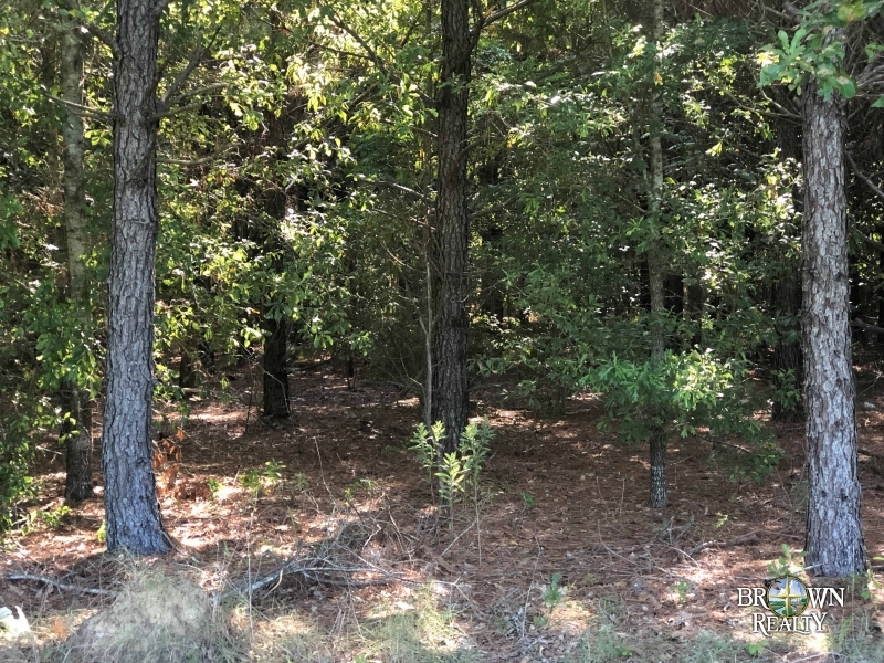 LA - Richland Calhoun 20 acres - featured image