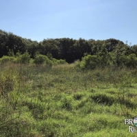 LA - Richland Calhoun 20 acres - images 2