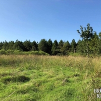 LA - Richland Calhoun 20 acres - images 4
