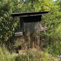 LA - Richland Calhoun 20 acres - images 6