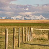 Bridger View Farm images 3