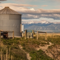 Bridger View Farm images 5