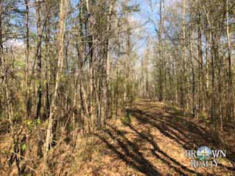 MS - Jefferson Chambliss 143 acres - featured image
