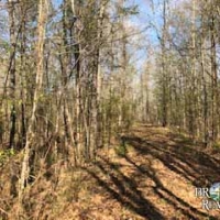 MS - Jefferson Chambliss 143 acres -