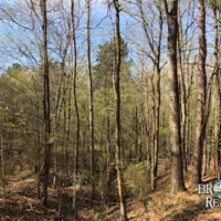 MS - Jefferson Chambliss 143 acres - images 3