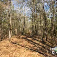 MS - Jefferson Chambliss 143 acres - images 4
