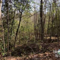MS - Jefferson Chambliss 143 acres - images 5