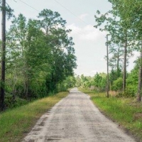 Osteen Road - Tract 2 images 2