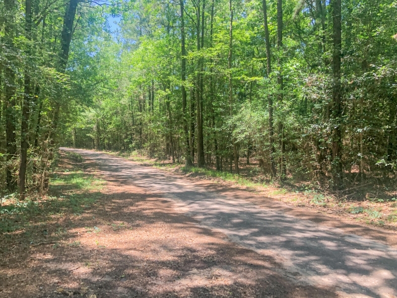 15 Acres Joe Allen Road featured image