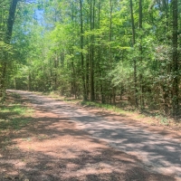 15 Acres Joe Allen Road