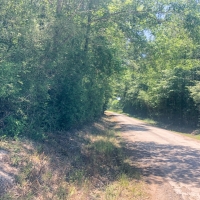 15 Acres Joe Allen Road images 3
