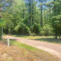 15 Acres Joe Allen Road images 5