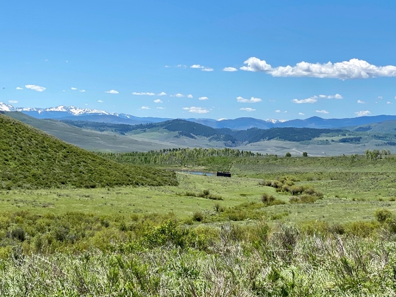 Miller Land Cattle Company featured image