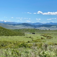 Miller Land Cattle Company