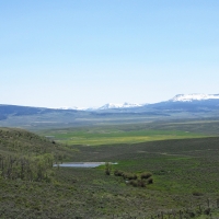 Miller Land Cattle Company images 3