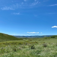 Miller Land Cattle Company images 5