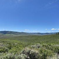 Miller Land Cattle Company images 6